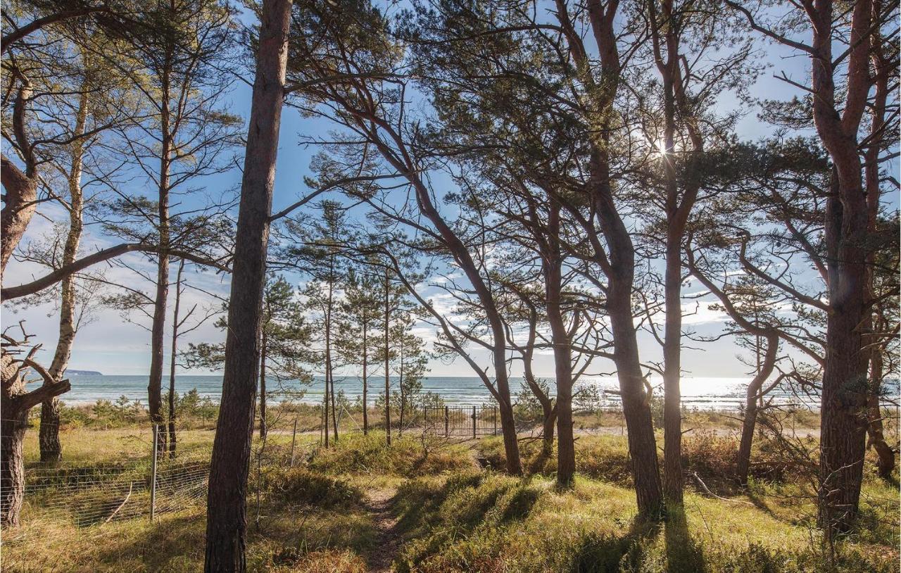 Prince * Ostseebad Binz